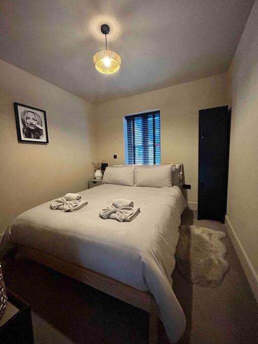 Apartament Rhodewood House Saundersfoot Zewnętrze zdjęcie