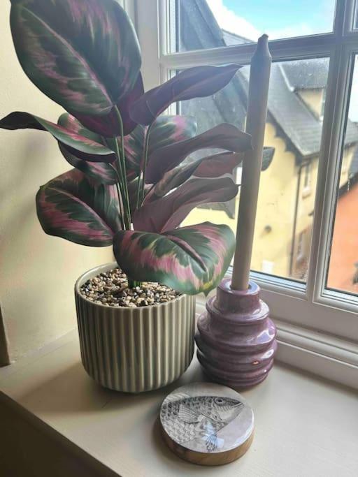 Apartament Rhodewood House Saundersfoot Zewnętrze zdjęcie
